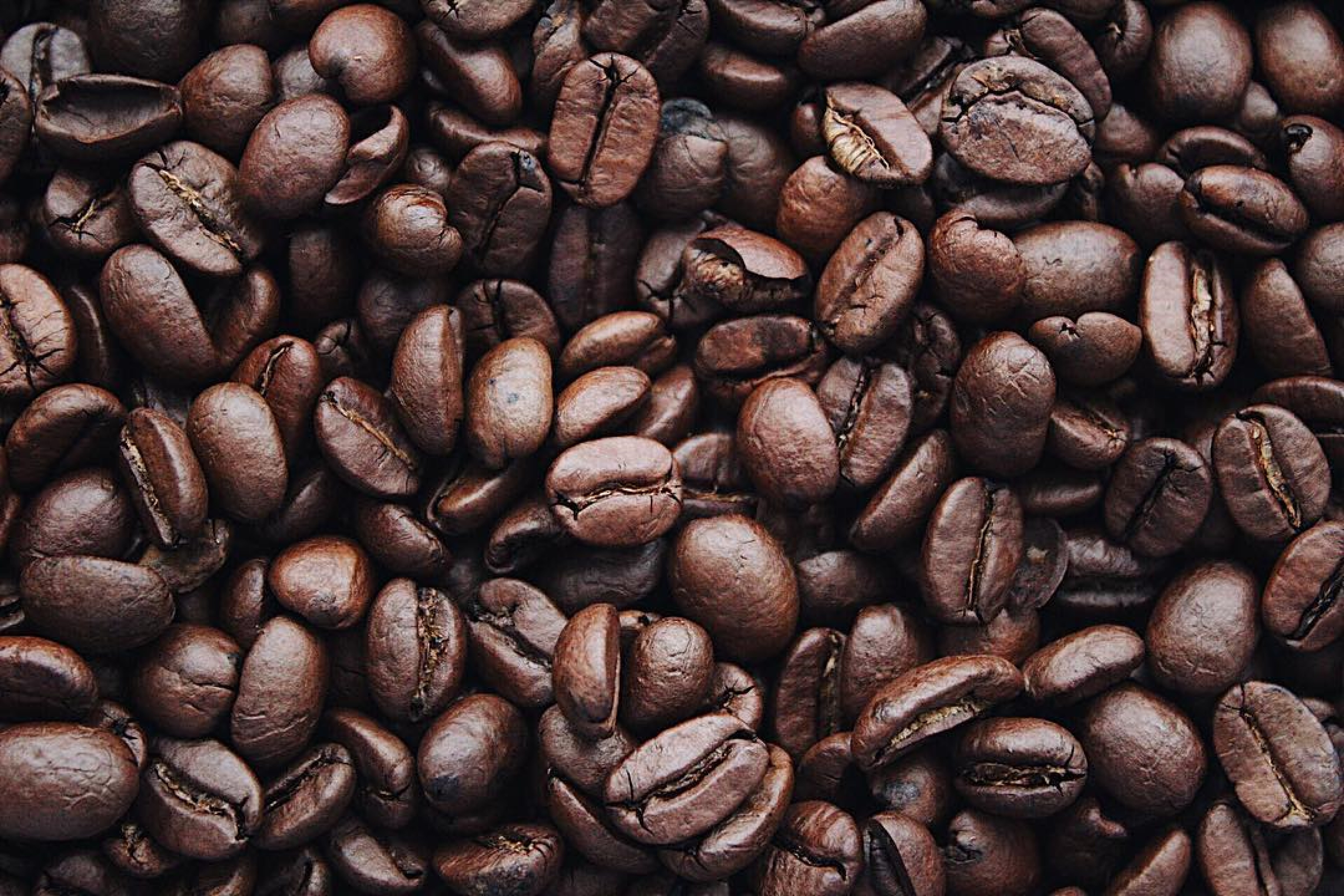 Kopi - (Photo by Igor Haritanovich on Pexels) Kopi - (Photo by Igor Haritanovich on Pexels)