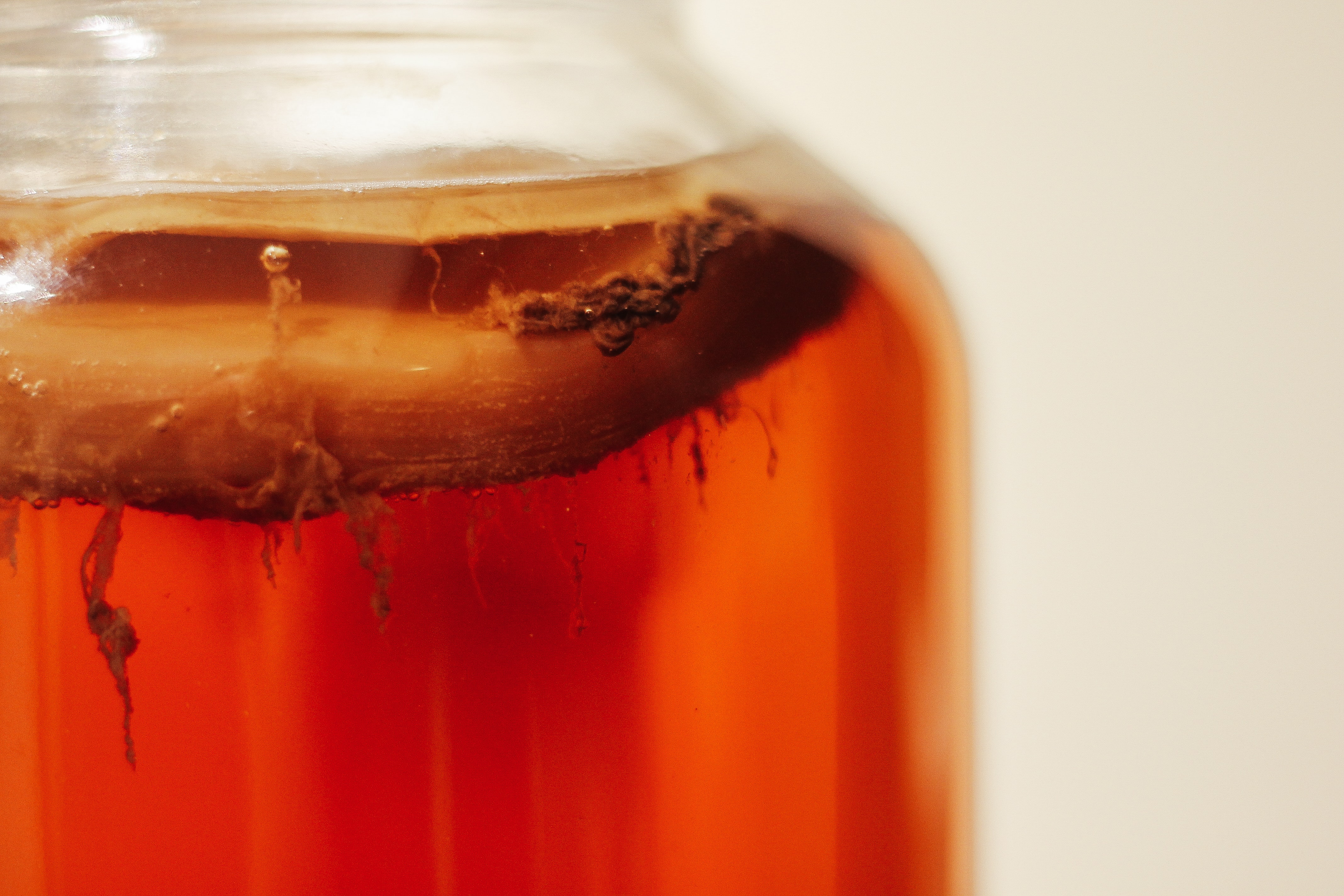 Ilustrasi teh kombucha. (Dok. Tim-Oliver Metz dari Unsplash) Ilustrasi teh kombucha. (Dok. Tim-Oliver Metz dari Unsplash)