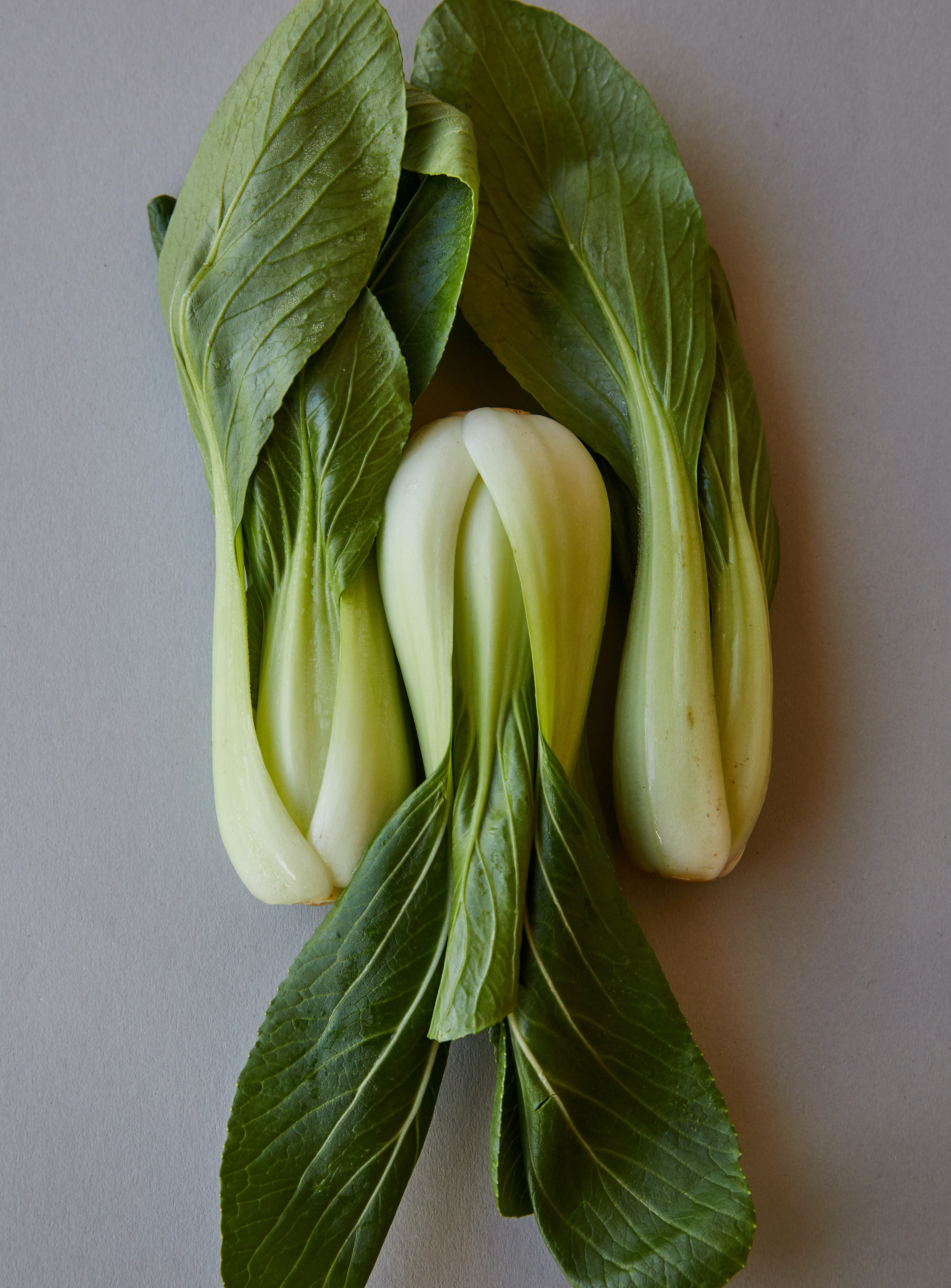 Ilustrasi sayur bok choy. (Dok. Laker dari Pexels) Ilustrasi sayur bok choy. (Dok. Laker dari Pexels)