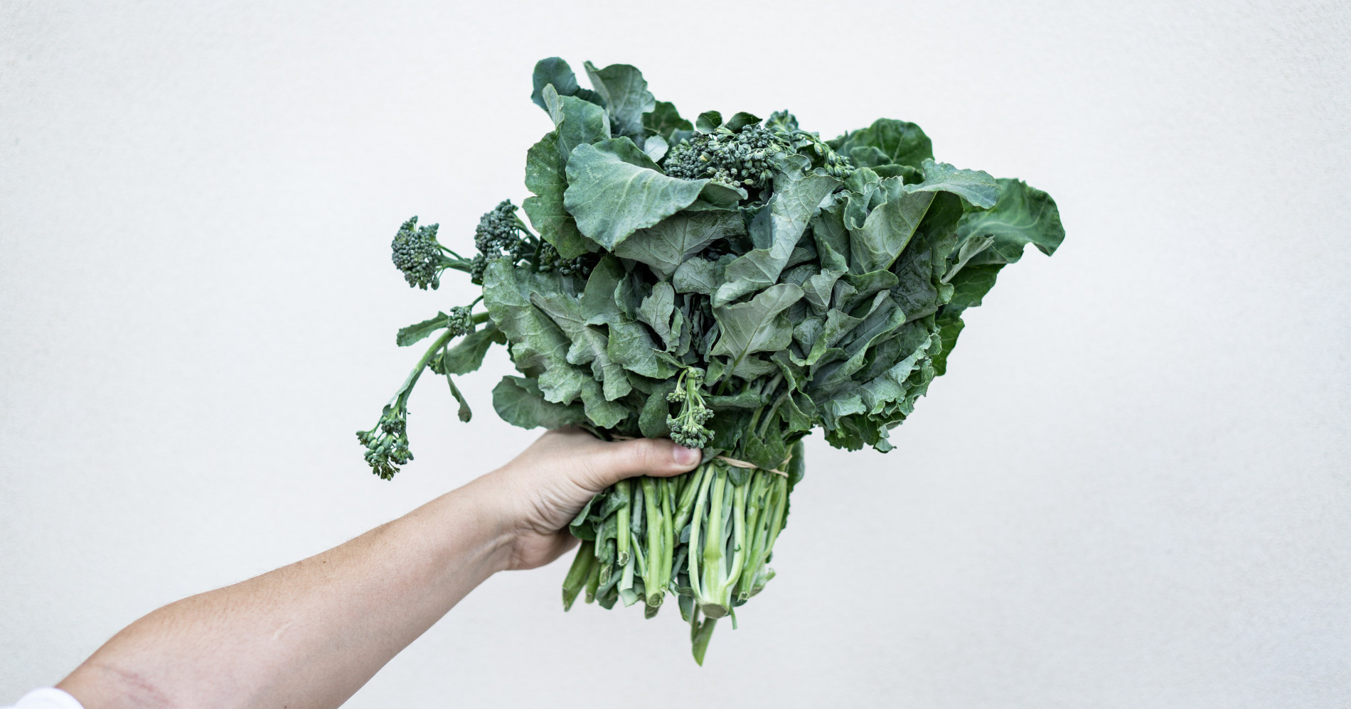 Simak 7 Makanan Olahan Sayur Kale, Bisa Dicoba!