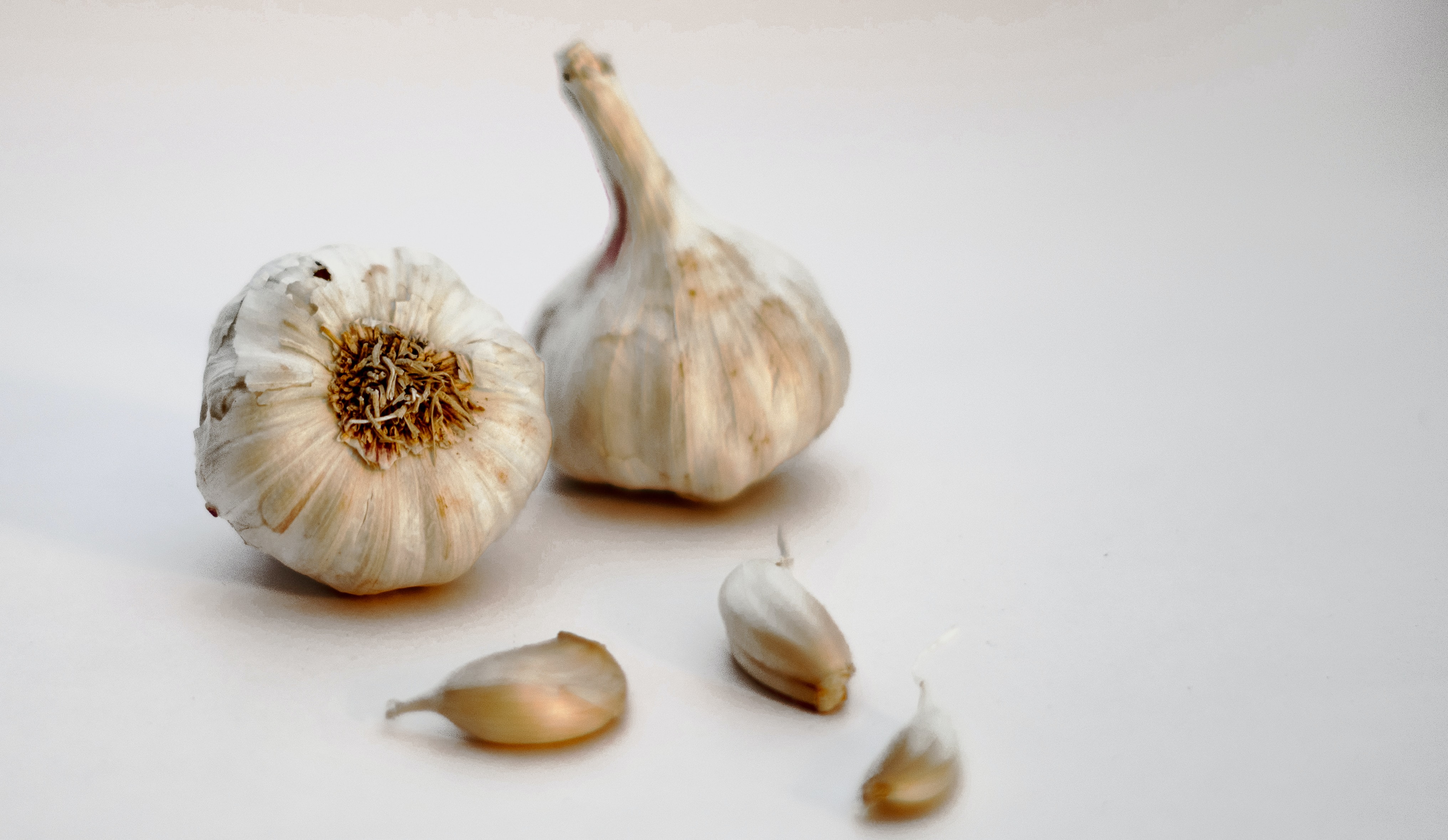 2 siung bawang putih cukup untuk 1 blok butter (Photo by Sanjay Dosajh on Unsplash)