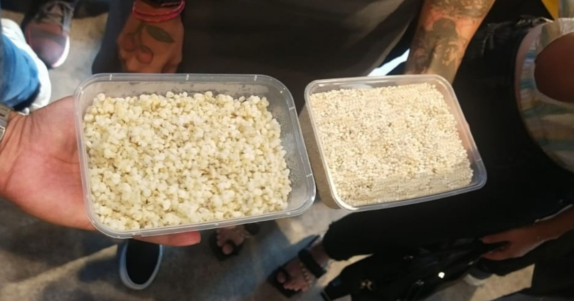 Ini 4 Jenis Sorgum, Pangan Lokal yang Kaya akan Serat & Protein