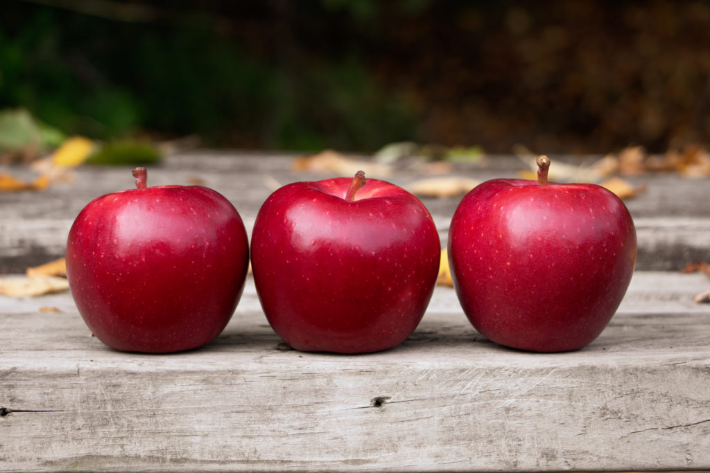 Apel varietas Dazzle. (Sumber gambar: Dazzleapple.com) Apel varietas Dazzle. (Sumber gambar: Dazzleapple.com)