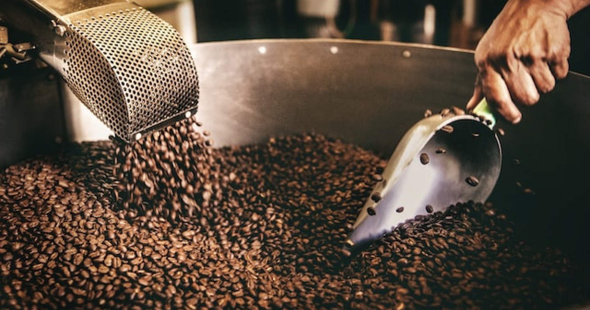 3 Jenis Proses Pengolahan Biji Kopi, Hasilkan Rasa yang Berbeda-Beda