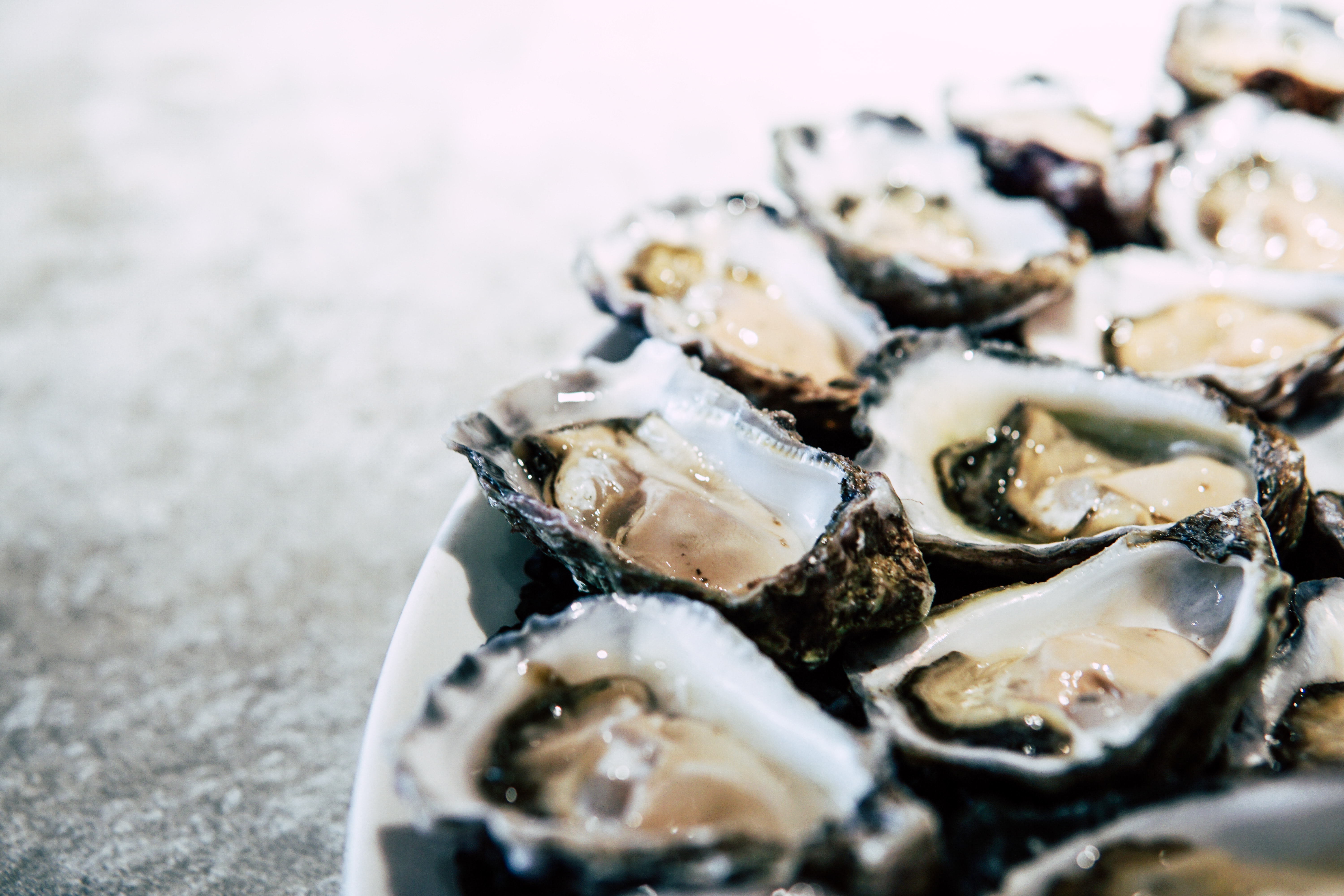 Kerang (Sumber gambar: Elle Huges/Pexels)