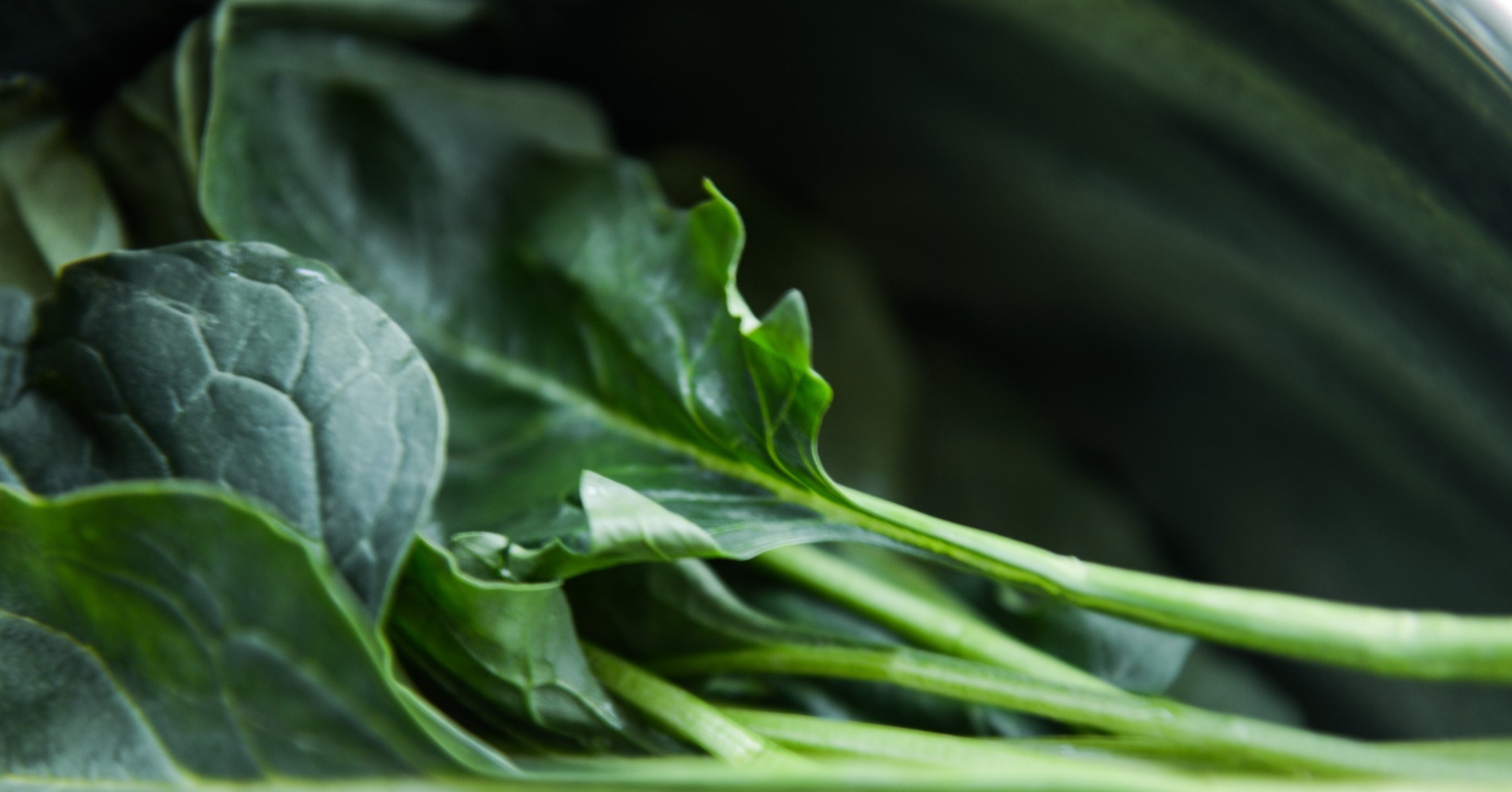 5 Tip Memasak Sayur Sawi agar Tidak Pahit, Gunakan Metode Slow Cooking