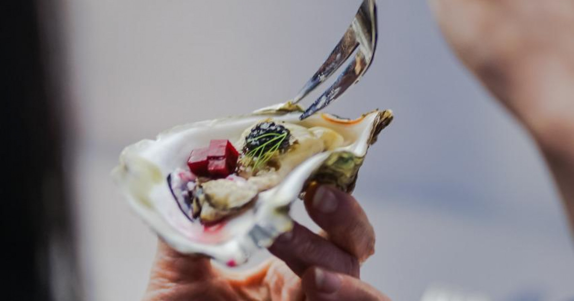 Cobain Yuk, Nikmatnya Varian Menu Oyster dari Berbagai Benua