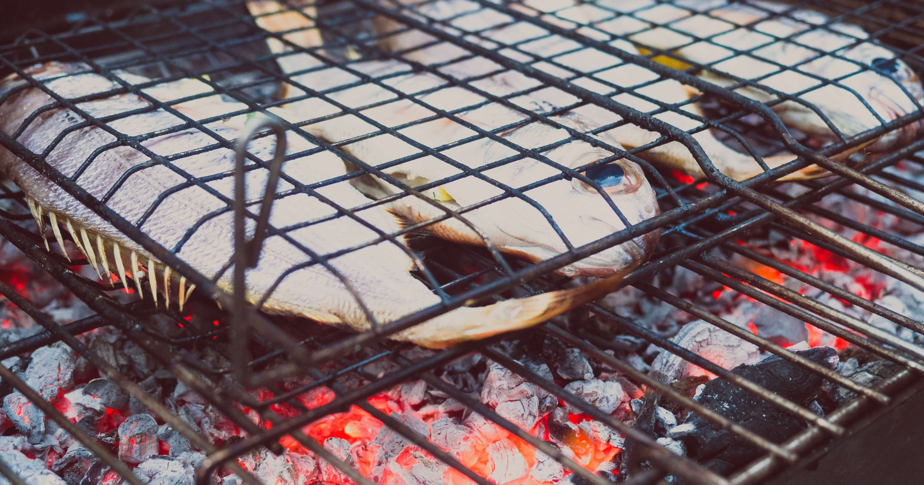 Tip Memilih Ikan Segar Untuk Tahun Baru, Intip Resepnya Juga Yuk!