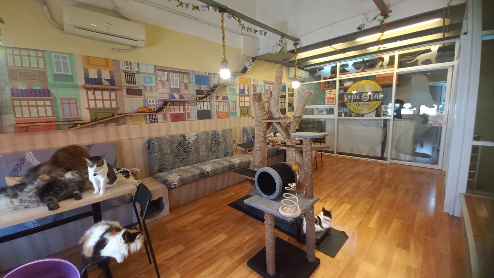 Suasana di Kopi Cat Cafe by Groovyy (Sumber Foto: Hypeabis.id/Kintan Nabila)