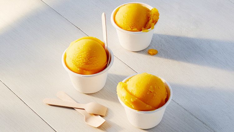 Ilustrasi sajian sorbet (sumber foto freepik) Ilustrasi sajian sorbet (sumber foto freepik)