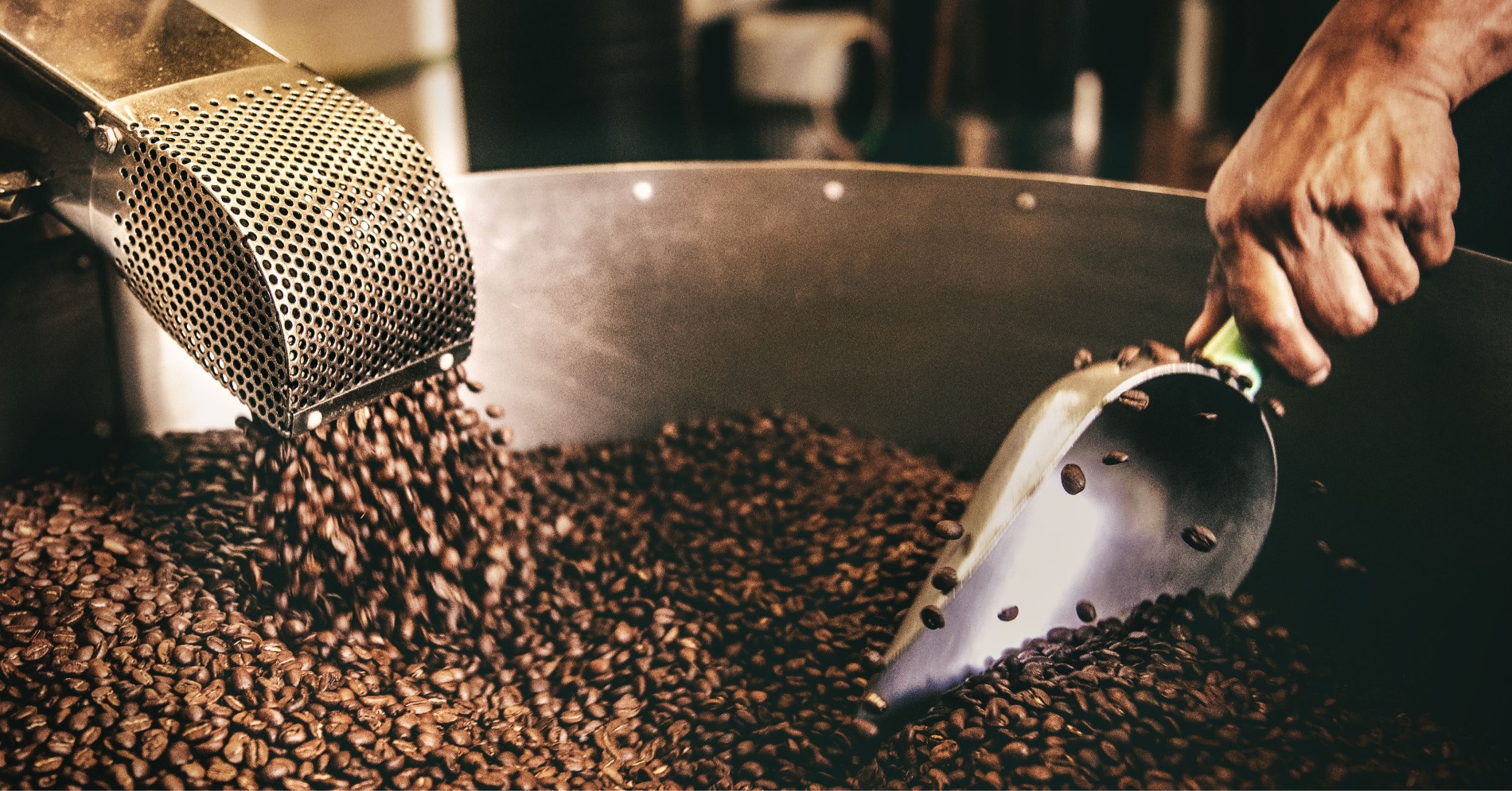 Penikmat Kopi Wajib Tahu, Ini Perbedaan Kopi Arabika dan Robusta