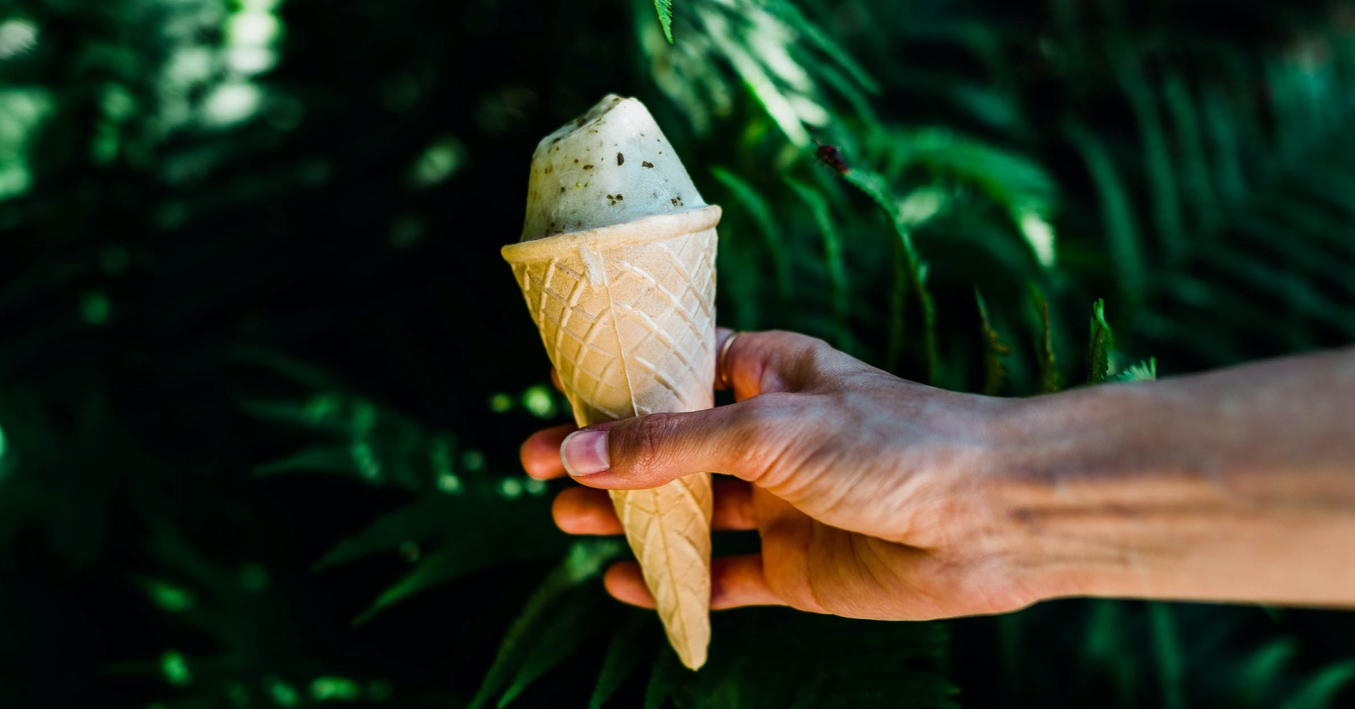 (Sumber gambar: unsplash/Jarekceborski) (Sumber gambar: unsplash/Jarekceborski)