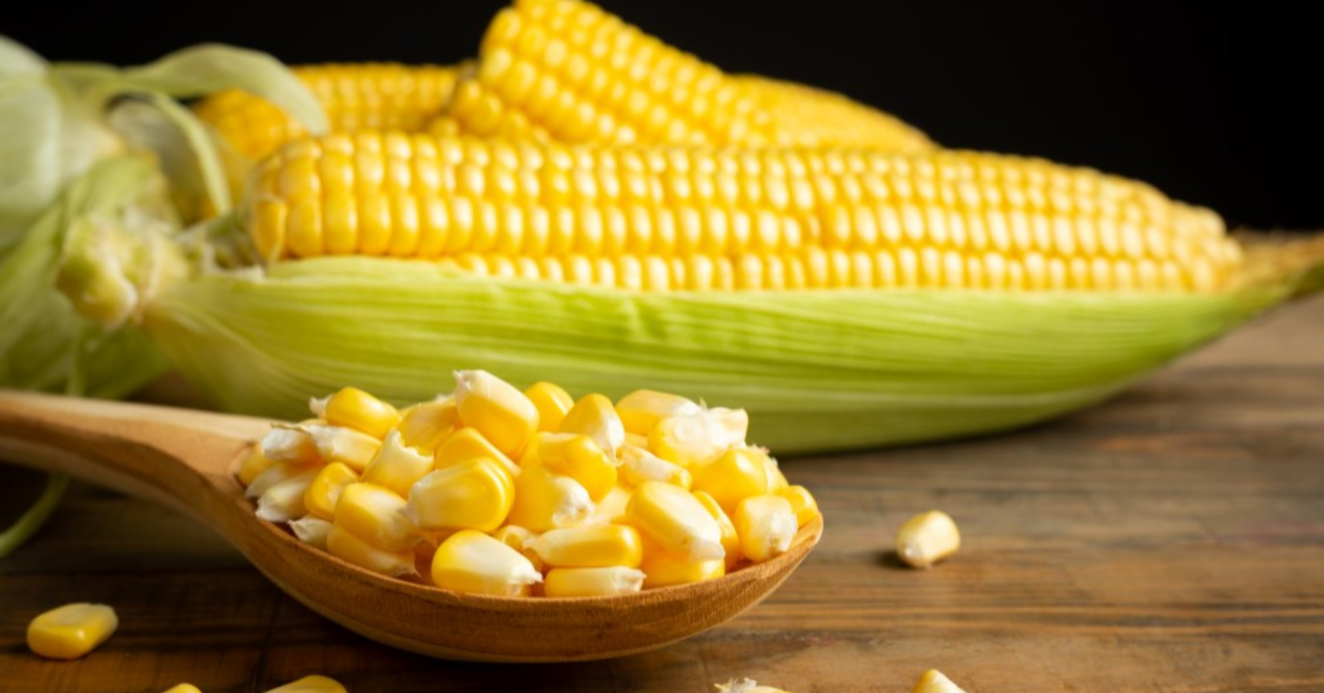 Jagung (sumber foto: Freepik) Jagung (sumber foto: Freepik)