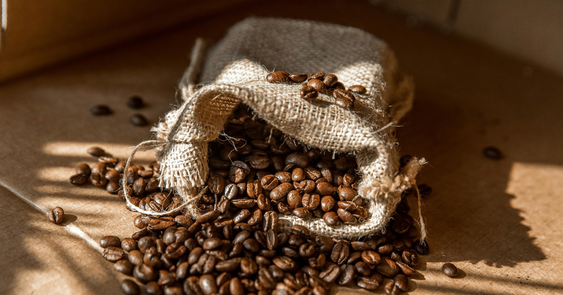 5 Variasi Biji Kopi dengan Harga Fantastis di Dunia