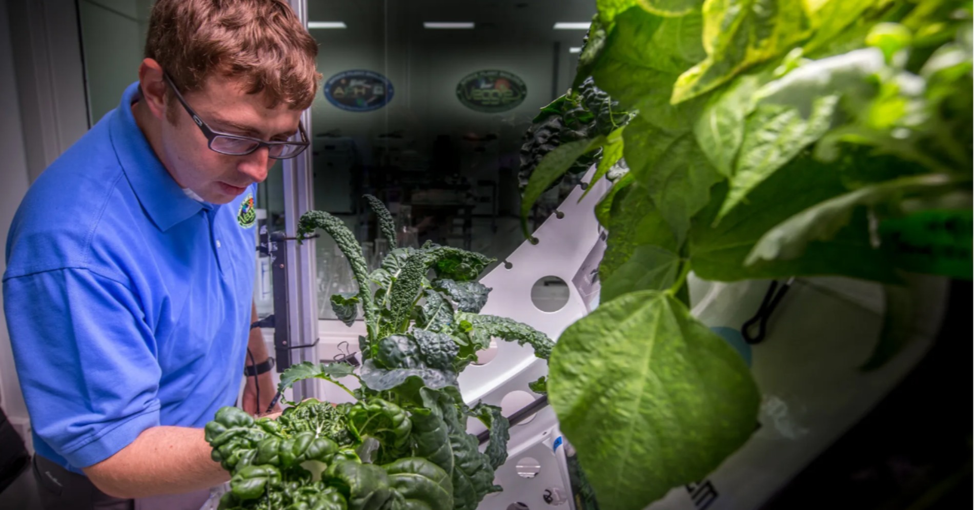 Kebun di Antariksa, NASA Ciptakan Solusi Makanan Segar untuk Astronot ISS