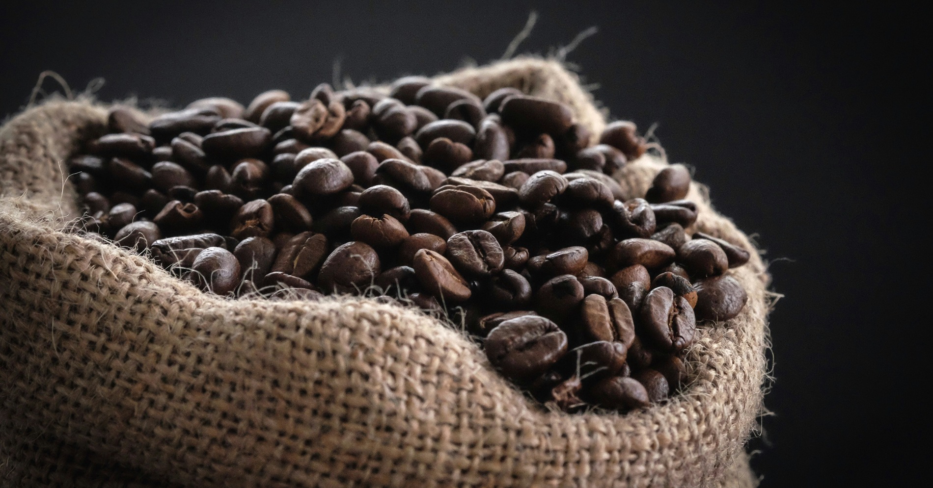 10 Kopi Termahal di Dunia 2024, Ada Luwak dari Indonesia